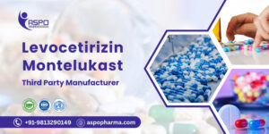 levocetirizine montelukast tablets